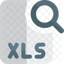 Search Xls File  Icon