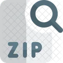 Search Zip File  Icon