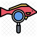 Searching Fish  Icon