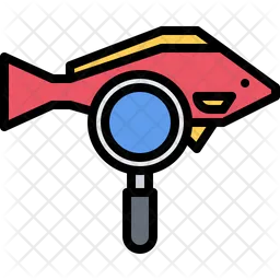 Searching Fish  Icon