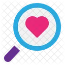 Search Magnifier Find Icon