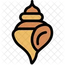 Seashell Icon