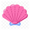 Seashell  Icon