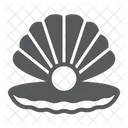 Seashell  Icon