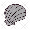 Seashell Sea Shell Icon