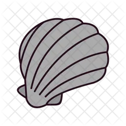 Seashell  Icon