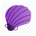 Seashell Sea Shell Icon