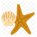 Seashell Star Fish Icon