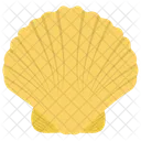 Seashell Mollusk Mollusc Icon