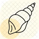 Seashell Ocean Marine Icon