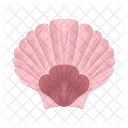 Pearl Shell Seashell Shell Icon