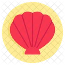 Seashell  Icon