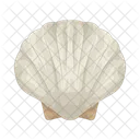 Seashell Shell Sea Icon