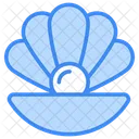 Seashell Icon