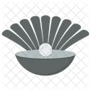 Seashell Pearl Mollusk Mollusc Icon