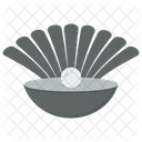 Seashell Pearl Mollusk Mollusc Icon