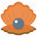 Seashell Pearl Mollusk Mollusc Icon