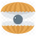 Seashell Pearl Mollusk Mollusc Icon