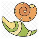 Seashells  Icon