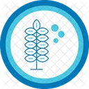 Pollen Allergy Pollen Allergy Allergy Hay Fever Allergen Sensitivity Immunology Pollination Seasonal Allergy Icon