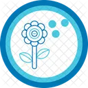 Pollen Allergy Pollen Allergy Allergy Hay Fever Allergen Sensitivity Immunology Pollination Seasonal Allergy Icon