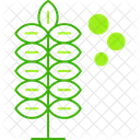 Pollen Allergy Pollen Allergy Allergy Hay Fever Allergen Sensitivity Immunology Pollination Seasonal Allergy Icon