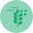 Pollen Allergy Pollen Allergy Allergy Hay Fever Allergen Sensitivity Immunology Pollination Seasonal Allergy Icon