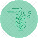 Pollen Allergy Pollen Allergy Allergy Hay Fever Allergen Sensitivity Immunology Pollination Seasonal Allergy Icon