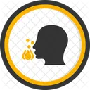 Pollen Allergy Pollen Allergy Allergy Hay Fever Allergen Sensitivity Immunology Pollination Seasonal Allergy Icon