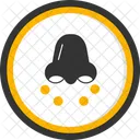 Pollen Allergy Pollen Allergy Allergy Hay Fever Allergen Sensitivity Immunology Pollination Seasonal Allergy Icon