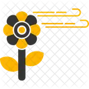 Pollen Allergy Pollen Allergy Allergy Hay Fever Allergen Sensitivity Immunology Pollination Seasonal Allergy Icon