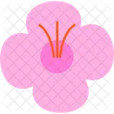 Seasonal Vegetables Fruits Icon