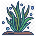 Seaweed Sea Plant Plant Icon
