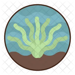 Seaweed  Icon