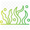 Seaweed  Icon