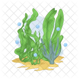 Seaweed  Icon