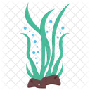 Seaweed Green Algae Edible Seaweed Icon