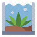 Seaweed Marine Algae Icon