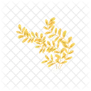 Simple Yellow Seaweed Icon
