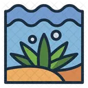 Seaweed Ocean Marine Icon