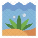 Seaweed Ocean Marine Icon
