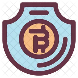 Secure  Icon