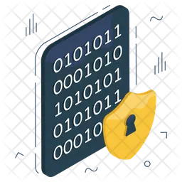 Secure Binary Data  Icon