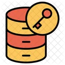 Database Data Key Icon