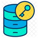 Database Data Key Icon