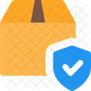 Secure Delivery Delivery Protection Box Shield Icon