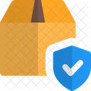 Secure Delivery Delivery Protection Box Shield Icon