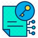 Key File Document Icon