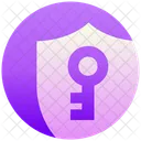 Secure Key Security Key Icon