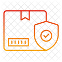 Secure Parcel Package Security Package Icon